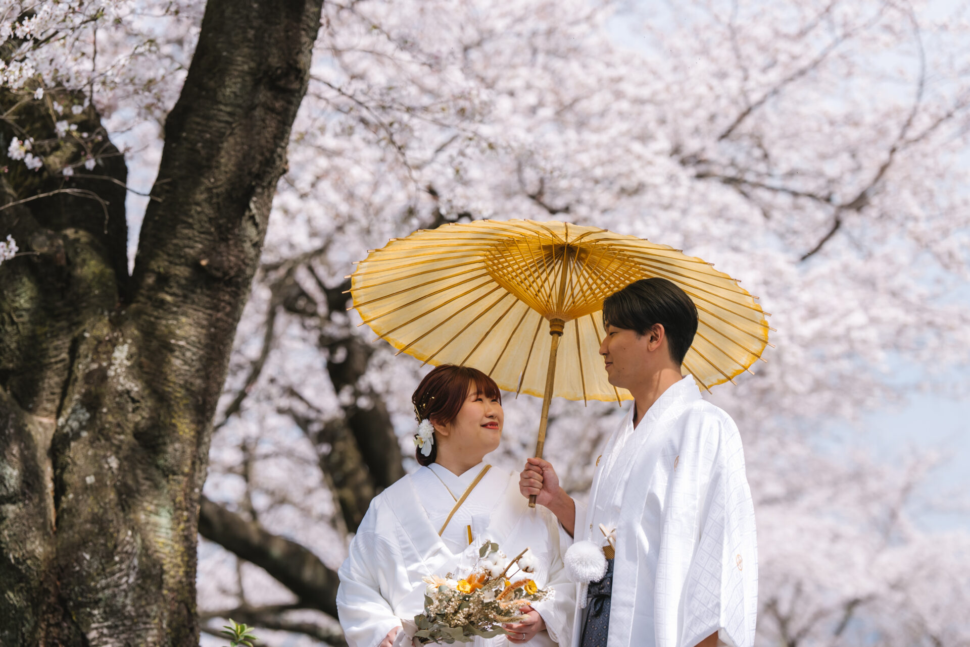 【受付中】桜フォトウェディング🌸