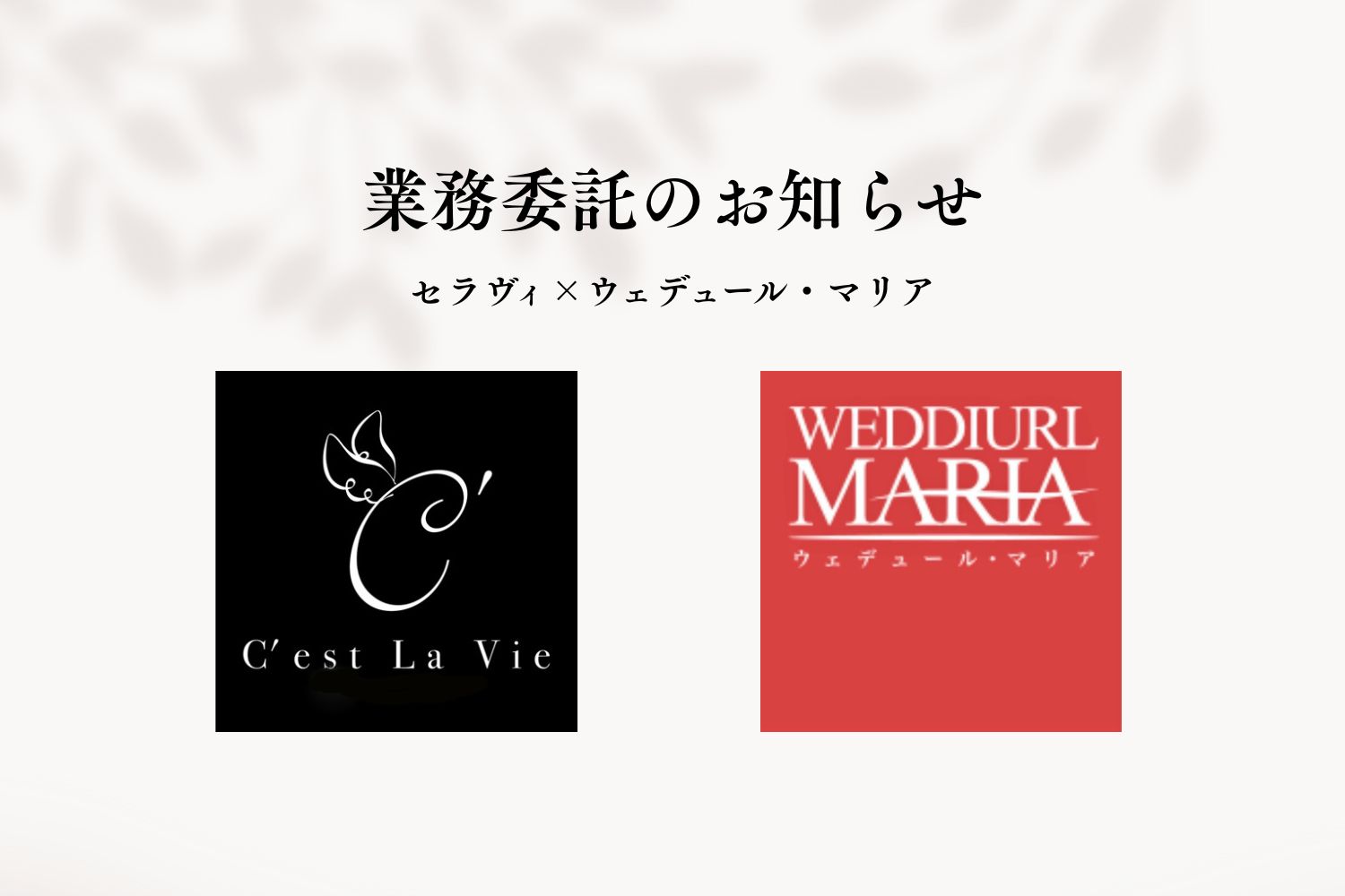 「セラヴィ」×「ウェデュール・マリア」業務委託のお知らせ