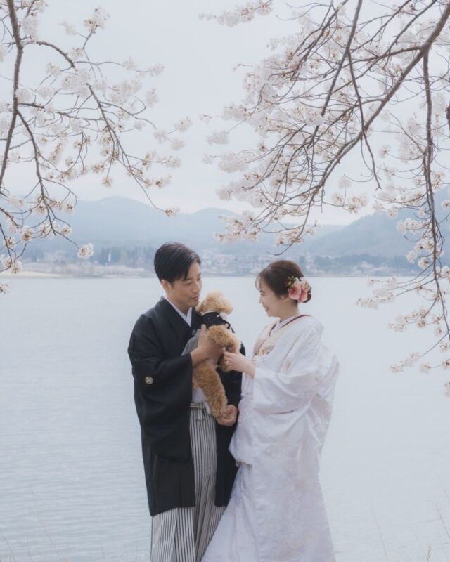愛犬とフォトウェディング🐶🌸

桜ロケーションフォト受付中！
毎年大人気の桜フォトウェディング🌸🌸

ウェデュール・マリアの和装撮影プランでは
愛犬との撮影も可能です🐩🤍

3月後半〜4月初旬の桜シーズンに
素敵な和装姿でお写真を残しませんか✨️

桜は時期が限られているため
予約受付の組数も限定となります。
お早めのご予約ご相談をお願いいたします！

詳しくは問い合わせください▶▶▶
@weddiurlmaria
055-225-6307

何も決まっていなくても大丈夫です！
その他ロケーション撮影、スタジオ撮影プランございます。
おふたりに合ったフォトウェディングを見つけましょう‪ 𓈒𓏸

𓂃𓂃𓂃𓂃𓂃𓂃𓂃𓂃𓂃𓂃𓂃𓂃𓂃

 
結婚式をお考えの新郎新婦様！
式場紹介も承っております。
まずはお問い合わせください✨️

 ▷ @weddiurlmaria 

𓂃𓂃𓂃𓂃𓂃𓂃𓂃𓂃𓂃𓂃𓂃𓂃𓂃

  𝘞𝘌𝘋𝘋𝘐𝘜𝘙𝘓 𝘔𝘈𝘙𝘐𝘈

📍 山梨県中巨摩郡昭和町飯喰457-5

  𝖳𝖤𝖫  055-225-6307
  𝖨𝗇𝗌𝗍𝖺𝗀𝗋𝖺𝗆 👗 @weddiurlmaria 
  𝖨𝗇𝗌𝗍𝖺𝗀𝗋𝖺𝗆 💄 @weddiurlmaria_hairmake 
  𝖨𝗇𝗌𝗍𝖺𝗀𝗋𝖺𝗆 👘 @kimono_weddiurl 
 

#和装 #和装前撮り #白無垢#紋付袴  #山梨結婚式  #山梨花嫁  #ロケーションフォト  #ロケ撮 #和装前撮り #桜フォト #桜ロケ #山梨桜 #ヘアメイク #着物 #kimono #着物へア
#前撮り #撮影 #ウェデュールマリア #河口湖前撮り #富士山前撮り #甲府夢小路 #玄堤 #桜フォト2025 #2025春婚 #ペットフォトウェディング