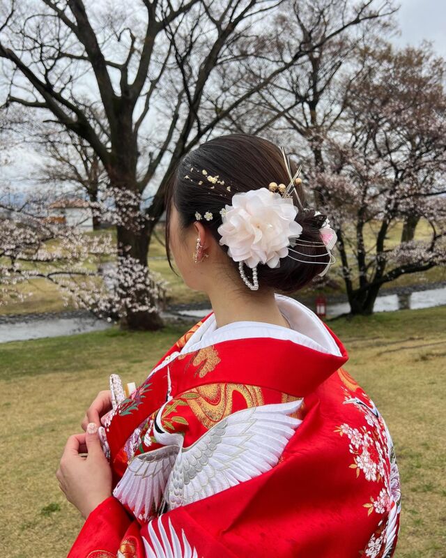 色打掛ヘア️️🩵
.
タイトシニヨンに色打掛と合わせたお色のヘッド❀.*･ﾟ
サイドに金箔をつけることで華やかさをプラス️🌸

 #和装ヘア
 #色打掛
 #タイトシニヨン
 #桜フォトウェディング

.
hairmake
@shian_0404 

.
特別なヘアメイクで、
大切な一日に寄り添います

ドレスショップだからこそできる
ドレス選びから当日まで
トータル視点でブライダルのプロが
一緒に花嫁姿を作り上げます🪄︎︎⋆*

𓂃𓂃𓂃𓂃𓂃𓂃𓂃𓂃𓂃𓂃𓂃𓂃𓂃

  ヘアメイク受付中です𓈒𓏸︎︎︎︎

 ▷ @weddiurlmaria_hairmake 

𓂃𓂃𓂃𓂃𓂃𓂃𓂃𓂃𓂃𓂃𓂃𓂃𓂃

  𝘞𝘌𝘋𝘋𝘐𝘜𝘙𝘓 𝘔𝘈𝘙𝘐𝘈

📍 山梨県中巨摩郡昭和町飯喰457-5

  𝖳𝖤𝖫  055-225-6307
  𝖨𝗇𝗌𝗍𝖺𝗀𝗋𝖺𝗆 @weddiurlmaria 

 
#ヘアメイク 
#ブライダルヘア 
#ウェディングヘア
#花嫁ヘア 
#持込みヘアメイク
#出張ヘアメイク
#山梨ヘアセット 
#山梨和装
#山梨花嫁 
#関東花嫁
#山梨ドレスショップ
#ウェデュールマリア
#レストランウェディング 
#リゾートウェディング 
#ウェディングドレス
#フォトウェディング 
#ヘアアレンジ
#前撮りヘア
#みんなのウェディング
#ウェディングニュース 
#dressy花嫁 
#プラコレ #マリクル