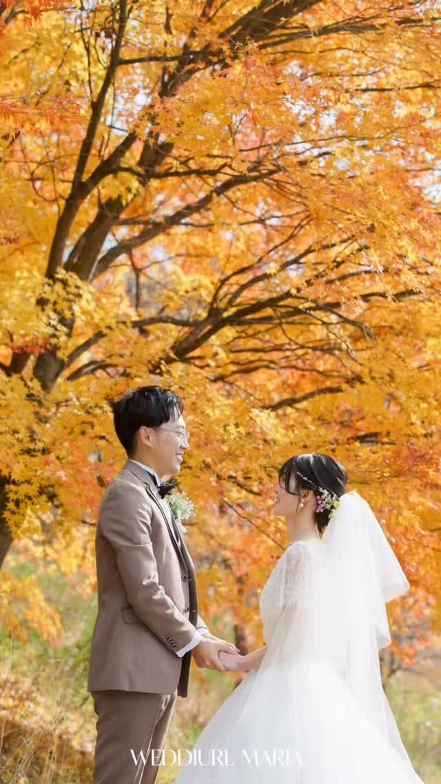 紅葉フォトウェディング🍁

昨年に和装、洋装で撮影されたおふたり🤍
自然豊かな清泉寮と和装がより美しく映える武田神社で撮影されました📸

桜、ひまわり、紅葉、雪景色etc...
季節ごとに変わるシチュエーションで
大切な思い出を残しましょう🥂

撮影枠には限りがあります。
お早めにご相談ください📩

詳しくは問い合わせください ▷▶▷
DM @weddiurlmaria 
TEL 055-225-6307

何も決まっていなくても大丈夫です！
その他ロケーション撮影、スタジオ撮影プランございます。
おふたりに合ったフォトウェディングを見つけましょう‪ 𓈒𓏸

𓂃𓂃𓂃𓂃𓂃𓂃𓂃𓂃𓂃𓂃𓂃𓂃𓂃𓂃𓂃

結婚式をお考えの新郎新婦様！
式場紹介も承っております𓈒𓏸︎︎︎︎ 
まずはお問い合わせください✨️

 ▷ @weddiurlmaria

𓂃𓂃𓂃𓂃𓂃𓂃𓂃𓂃𓂃𓂃𓂃𓂃𓂃𓂃𓂃

  𝘞𝘌𝘋𝘋𝘐𝘜𝘙𝘓 𝘔𝘈𝘙𝘐𝘈

📍 山梨県中巨摩郡昭和町飯喰457-5

  𝖳𝖤𝖫  055-225-6307
  𝖨𝗇𝗌𝗍𝖺𝗀𝗋𝖺𝗆 👗@weddiurlmaria 
  𝖨𝗇𝗌𝗍𝖺𝗀𝗋𝖺𝗆 💄@weddiurlmaria_hairmake

#和装 #洋装 
#前撮り
#ロケーションフォトウェディング
#フォトウェディング