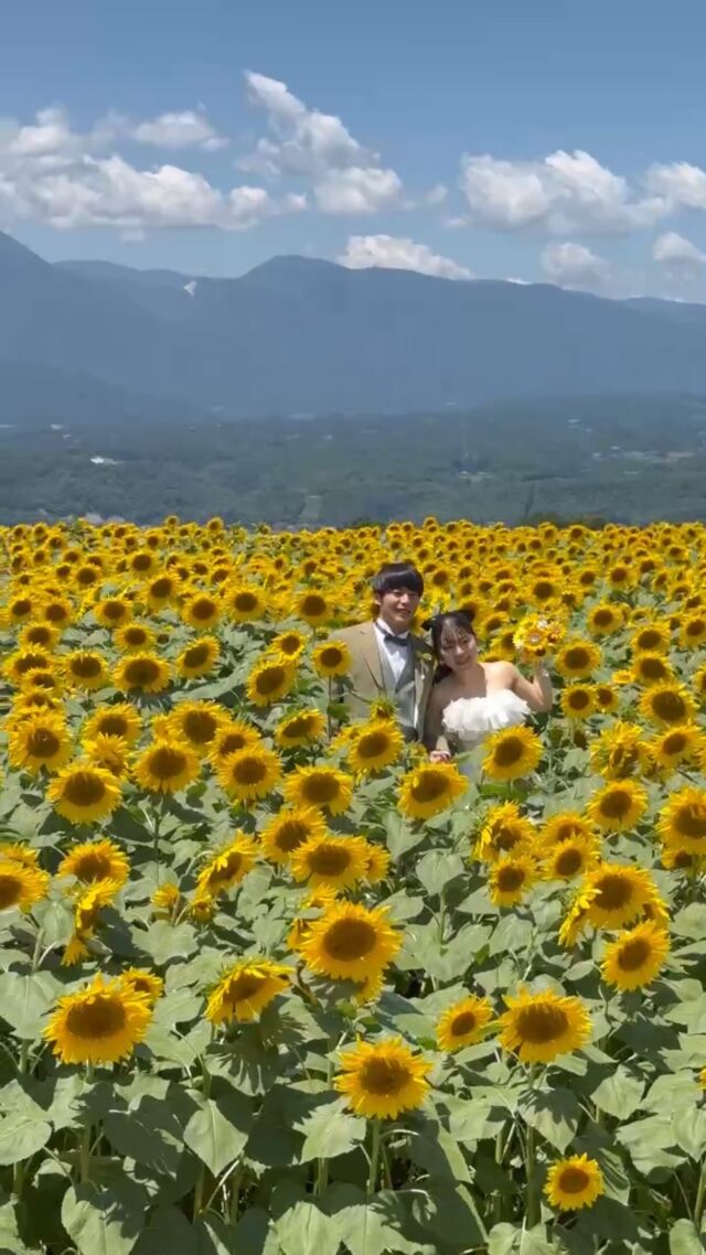 Sunflower Wedding🌻

ひまわりが大好きな県外からお越しいただいた新郎新婦様💍
大切な1日をウェデュール・マリアにお任せいただき
ありがとうございました😊
末永くお幸せに🤍

⋱⋰ ⋱⋰ ⋱⋰ ⋱⋰ ⋱⋰ ⋱⋰ ⋱⋰ ⋱⋰

𓇬 𓇬 𓇬

@weddiurlmaria 
「ホームページ」よりお問い合わせください＊

‪ 𓂃 𓈒𓏸𓈒꙳

#明野ひまわり畑
#ひまわりウェディング
#ロケフォトウェディング 

...

\契約特典&持ち込み料負担キャンペーン実施中/

式場紹介も承っております
自分たちに合う衣裳、会場がわからない etc...

まずはお気軽にご連絡ください☎️✉️

𓂃𓂃𓂃𓂃𓂃𓂃𓂃𓂃𓂃𓂃𓂃𓂃𓂃

  ヘアメイク受付中です𓈒𓏸︎︎︎︎

 ▷ @weddiurlmaria_hairmake 

𓂃𓂃𓂃𓂃𓂃𓂃𓂃𓂃𓂃𓂃𓂃𓂃𓂃

  𝘞𝘌𝘋𝘋𝘐𝘜𝘙𝘓 𝘔𝘈𝘙𝘐𝘈

📍 山梨県中巨摩郡昭和町飯喰457-5

  𝖳𝖤𝖫  055-225-6307
  𝖨𝗇𝗌𝗍𝖺𝗀𝗋𝖺𝗆 @weddiurlmaria