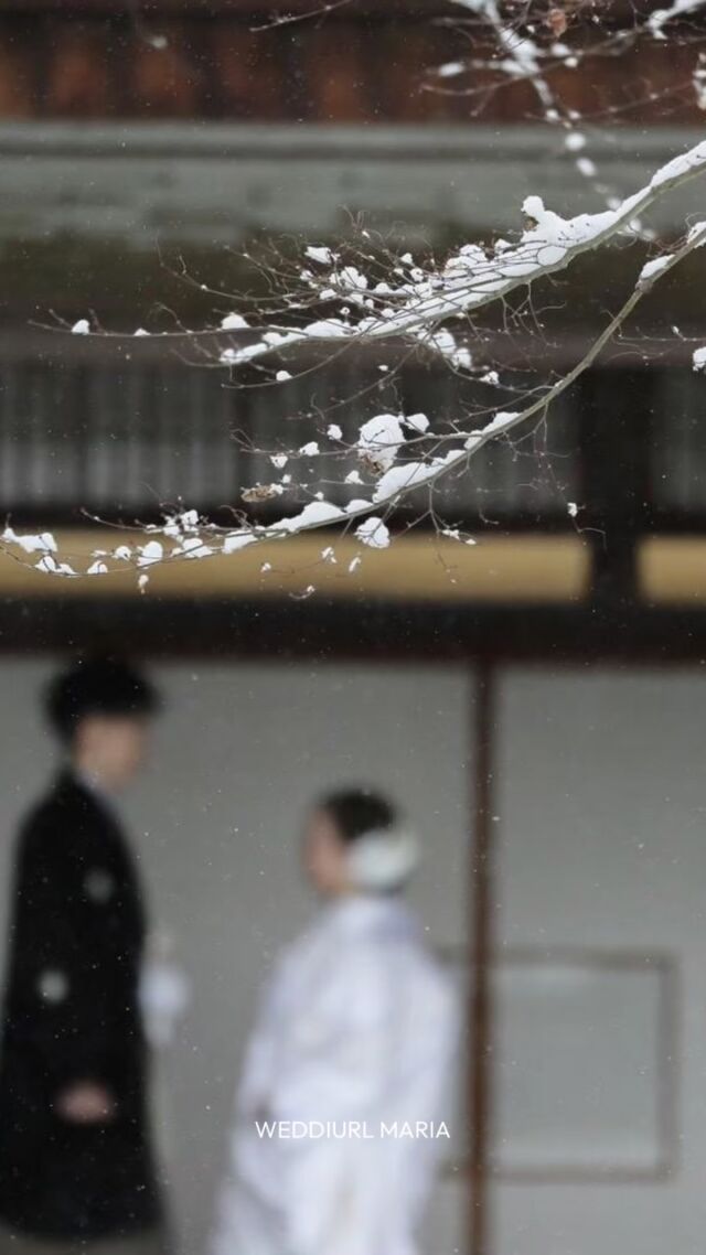 ⌇ Winter location ❄️

2月の雪景色の中での撮影⛄️

桜、ひまわり、紅葉、雪景色etc...
季節ごとに変わるシチュエーションで
大切な思い出を残しましょう📸

撮影枠には限りがあります
お早めにご相談ください📩

詳しくは問い合わせください ▷▶▷
DM @weddiurlmaria 
TEL 055-225-6307

何も決まっていなくても大丈夫です！
その他ロケーション撮影、スタジオ撮影プランございます。
おふたりに合ったフォトウェディングを見つけましょう‪ 𓈒𓏸

𓂃𓂃𓂃𓂃𓂃𓂃𓂃𓂃𓂃𓂃𓂃𓂃𓂃𓂃𓂃

結婚式をお考えの新郎新婦様！
式場紹介も承っております𓈒𓏸︎︎︎︎ 
まずはお問い合わせください✨️

 ▷ @weddiurlmaria

𓂃𓂃𓂃𓂃𓂃𓂃𓂃𓂃𓂃𓂃𓂃𓂃𓂃𓂃𓂃

  𝘞𝘌𝘋𝘋𝘐𝘜𝘙𝘓 𝘔𝘈𝘙𝘐𝘈

📍 山梨県中巨摩郡昭和町飯喰457-5

  𝖳𝖤𝖫  055-225-6307
  𝖨𝗇𝗌𝗍𝖺𝗀𝗋𝖺𝗆 👗@weddiurlmaria 
  𝖨𝗇𝗌𝗍𝖺𝗀𝗋𝖺𝗆 💄@weddiurlmaria_hairmake

#和装 #洋装 
#前撮り
#ロケーションフォトウェディング
#フォトウェディング
